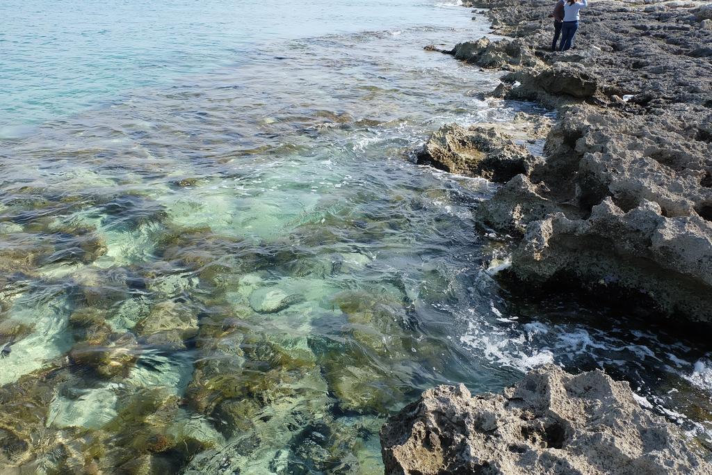 Oasi San Pio Lejlighed Porto Cesareo Eksteriør billede