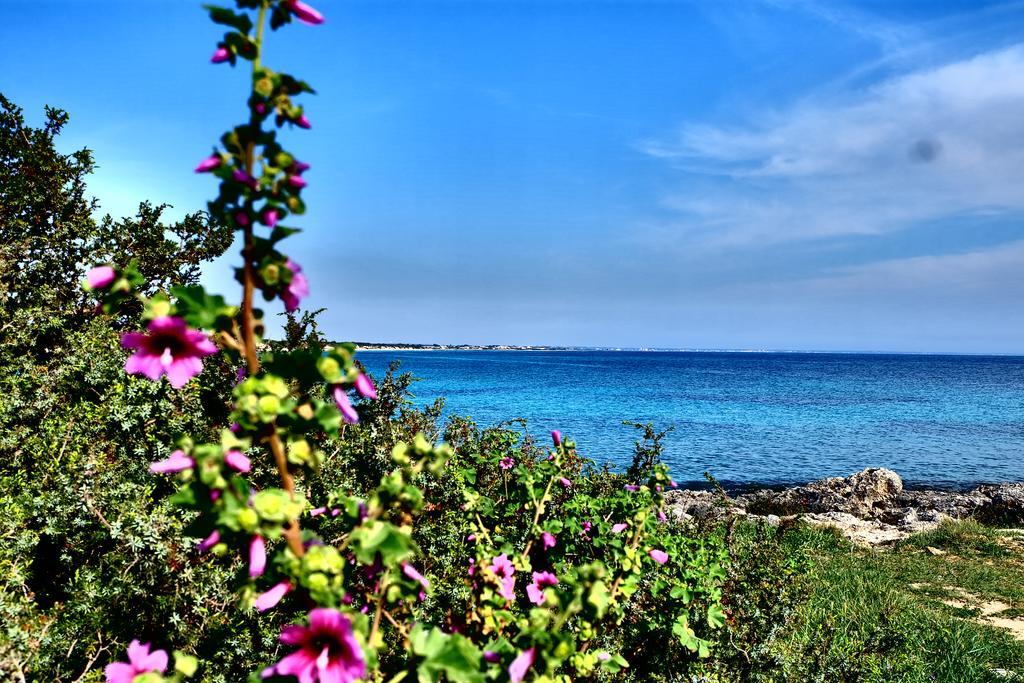 Oasi San Pio Lejlighed Porto Cesareo Eksteriør billede