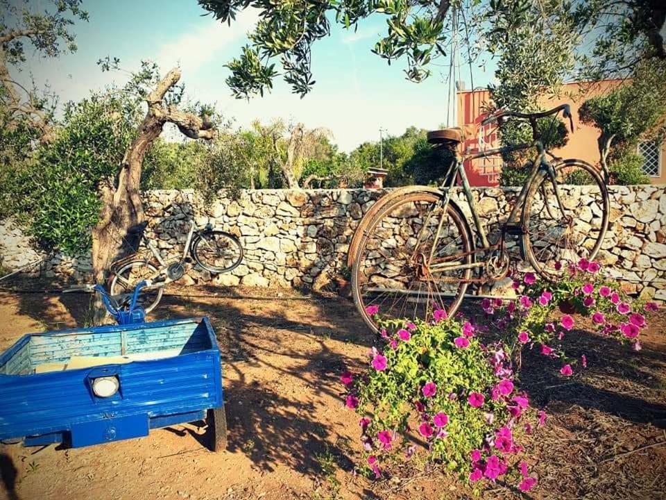 Oasi San Pio Lejlighed Porto Cesareo Eksteriør billede